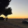 learyb06